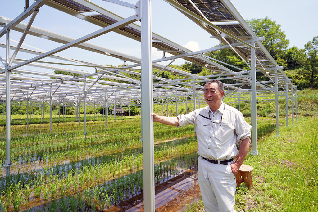 中山間地に拡大する遊休・荒廃農地の未来を模索するためのソーラー